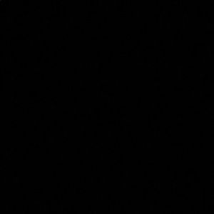 Meet your Posher, Ellie